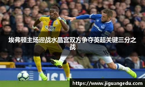 埃弗顿主场迎战水晶宫双方争夺英超关键三分之战